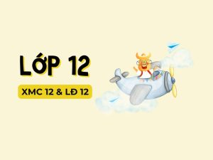 Lop 12 online course