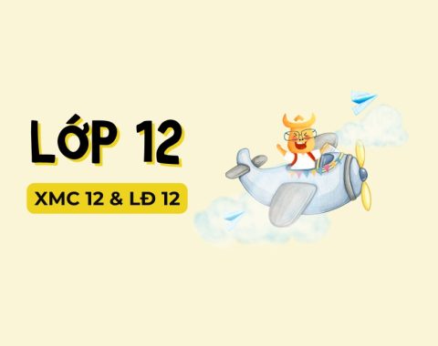 Lop 12 online course