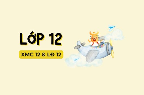 Lop 12 online course